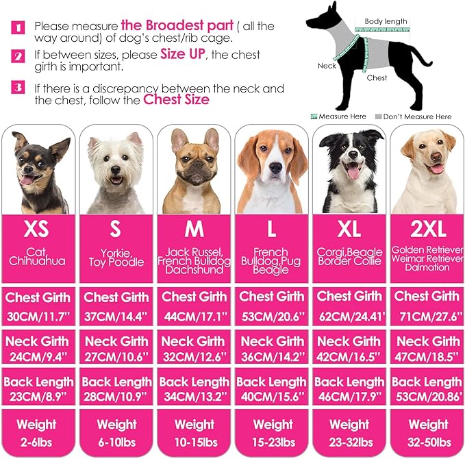 AOFITEE Small Dog Sweater, XS Dog Sweater Puppy Sweaters Girl Boy, Turtleneck Dogs Christmas Sweaters Pet Knitwear, Pet Sweatshirt Warm XSmall Fall Clothes for Yorkie, Chihuahua, Shih-tzu, XS