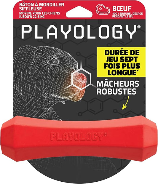 Playology Dog Toys | Durable Squeaky Chew Stick for Dogs| Medium Beef Scented Toy - Easy to Clean and Made from Non Toxic Materials