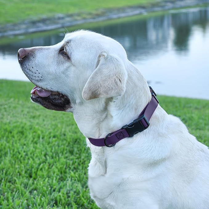 Dogline Durable Biothane Waterproof Collar for Dogs - Odor-Resistant Coated Webbing, Quick-Release Design, Comfortable Adjustable Fit, 5/8" W by 10-14" L, Violet Purple