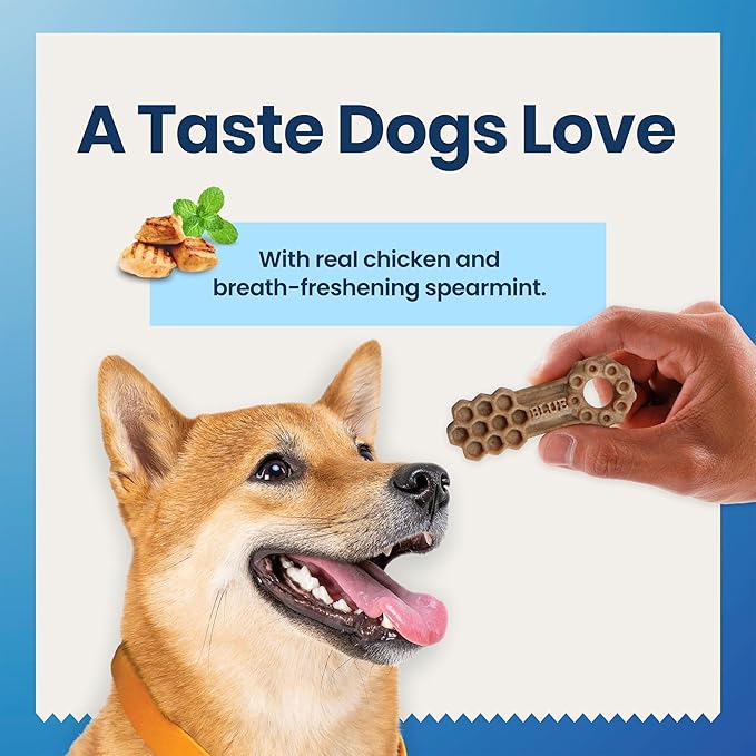Blue Buffalo Small Dental Chews for Dogs, Daily Dental Care Dog Treats Made in The USA with Natural Ingredients, Chicken & Spearmint (84 Count)