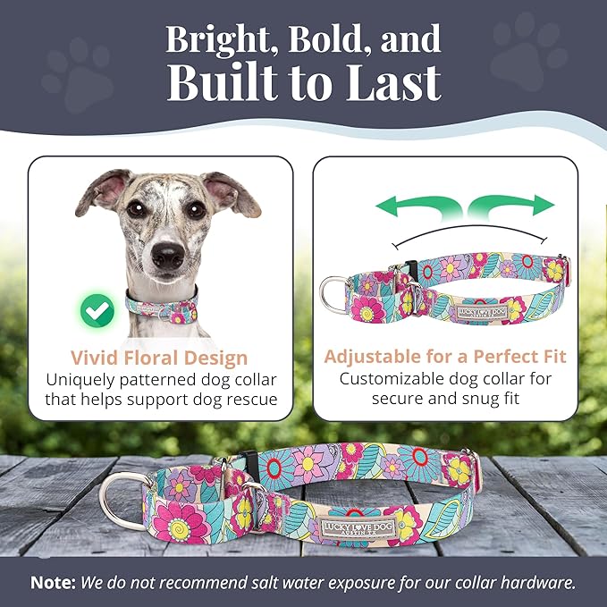 Lucky Love Dog Martingale Collar, Premium No Slip Martingale Collar for Medium Dogs, Great for Whippets, Greyhounds, and More (Caroline, Medium)