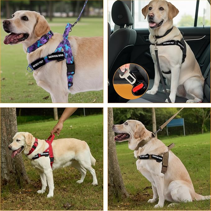 Annchwool No Pull Dog Harness, Collar & Leash Set|Reflective Dog Harness+Heavy Duty Dog Collar+Dog Leash with Double Handle & Car Seatbelt Clip|Easy for Walking Medium Large Size Dogs(Black,M)