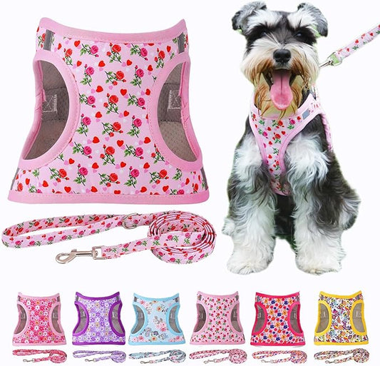 Moonpet Step in Valentine's Day Dog Harness Leash Set- All Weather Reflective No-Pull Floral Pattern Padded Mesh Vest Harness for Cats Puppy Extra-Small Small Medium Large Dogs - Heart Rose - XL