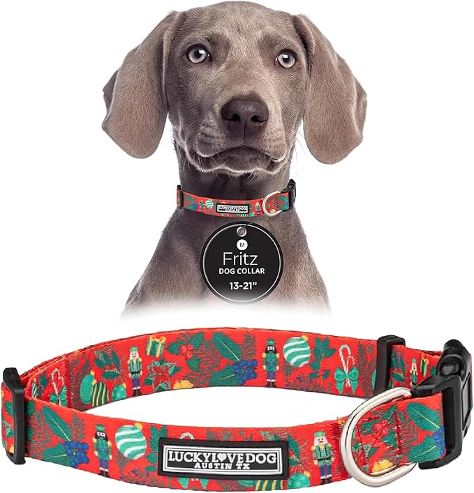 Lucky Love Dog - Adjustable Dog Collar with Easy Click Buckle for Small to Large Ones, Durable, & Comfortable for Male & Female Dogs, Pet Collar for Puppies & Adult Dogs - Fritz, Medium