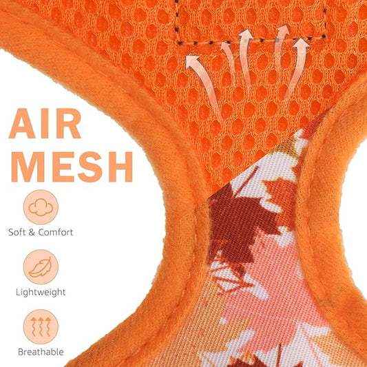 SCENEREAL Fall Dog Harness Collar and Leash Set for Small Dogs, Orange Leaf No Pull Dog Harnesses, Adjustable Step in Pet Vest for Doggie Puppy Cats Walking Outdoor, Chihuahua Yorkie Harness XS