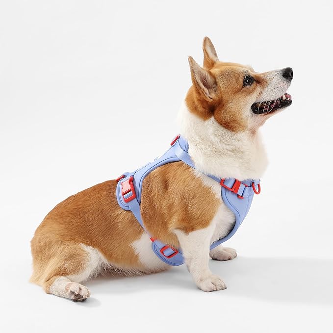 HNS1002E Arlo Medium Adjustable Soft Padded No Pull Pet Harness with 3 Buckles and 3 Leash Clips, Sangria