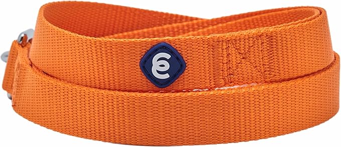 Blueberry Pet Essentials Matching Dog Collar and Leash Set in Orange Vermilion, Adjustable Classic Solid Color Nylon Collar with 5 ft Leash for Small Dogs