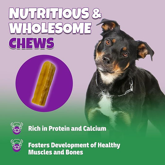 Healthy Yak Cheese Himalayan Chew, All-Natural & High in Protein, Odorless & Long Lasting Yak Chews for Large Dogs & Medium Dogs, Dog Chews for Aggressive Chewers (Large, 8-Pack)