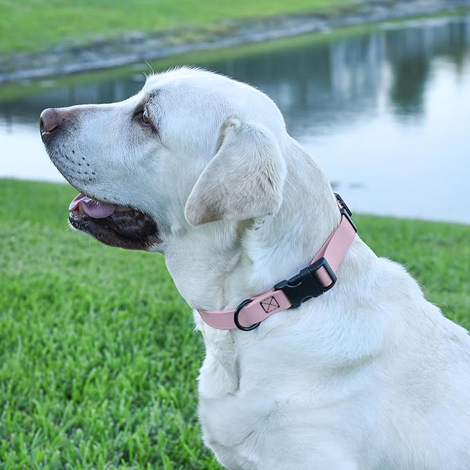 Dogline Durable Biothane Waterproof Collar for Dogs - Odor-Resistant Coated Webbing, Quick-Release Design, Comfortable Adjustable Fit, 5/8" W by 10-14" L,Pastel Purple