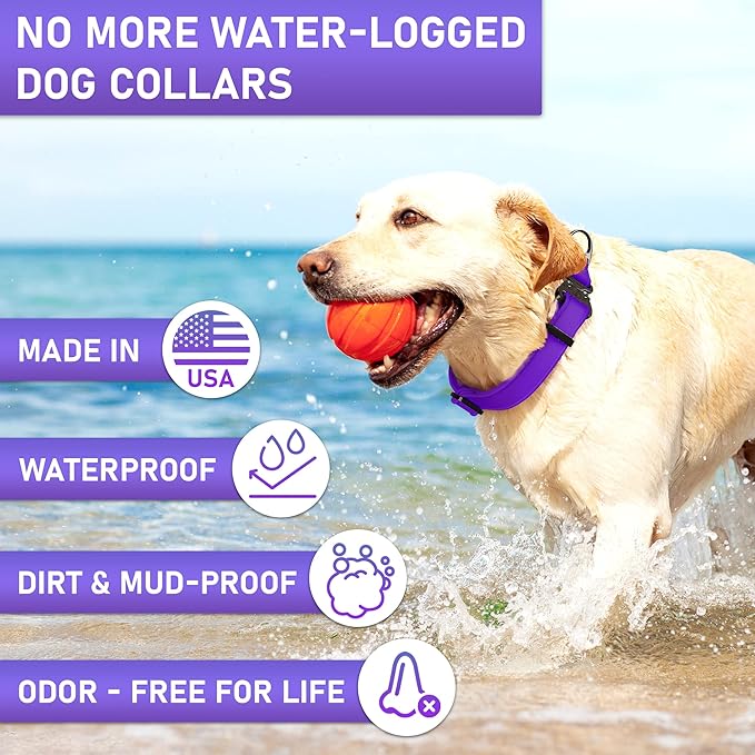 Biothane Dog Collar - Adjustable Heavy Duty for Medium Large Dogs - Waterproof Military Grade - Cobra Buckle, QR Code Dog Tag ID Included