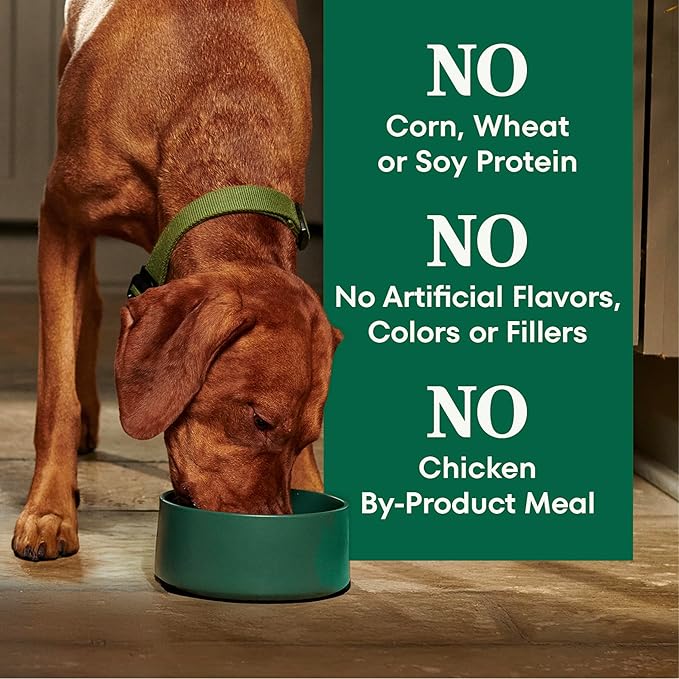 Nutro Natural Choice Adult Dry Dog Food, Lamb & Brown Rice Recipe, 5 lb. Bag