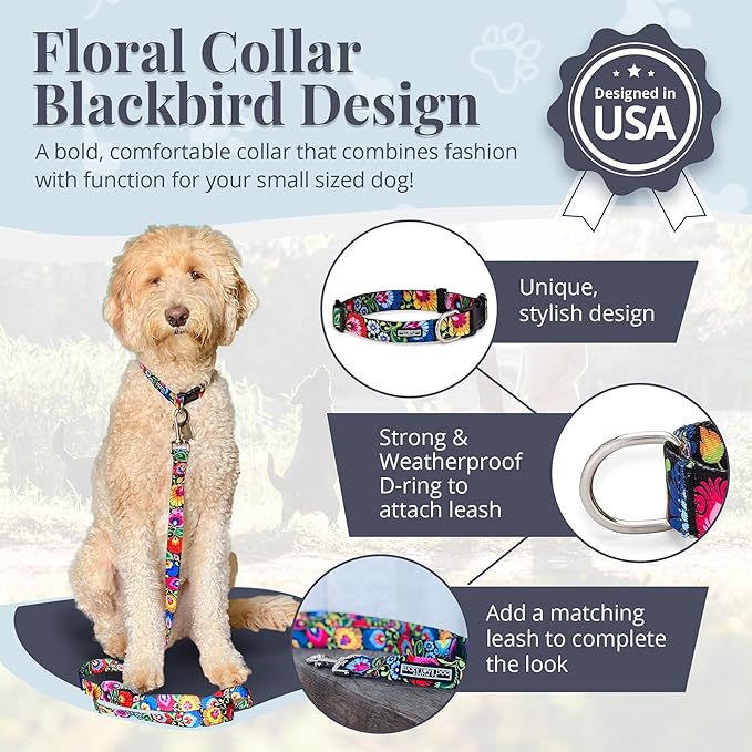 Lucky Love Dog - Adjustable Dog Collar with Easy Click Buckle for Small to Large Ones, Durable, & Comfortable for Male & Female Dogs, Pet Collar for Puppies & Adult Dogs - Blackbird, Small