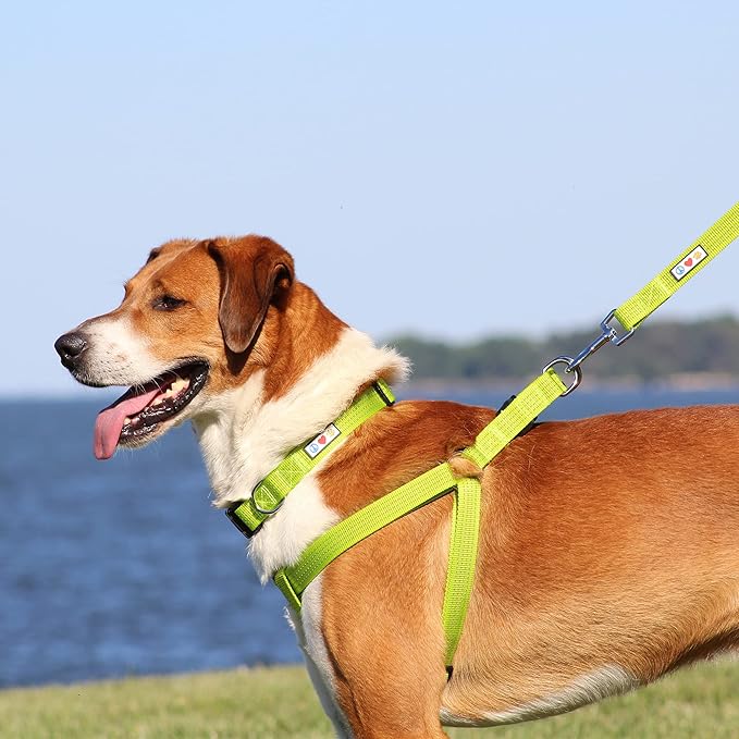 Pawtitas Reflective Step-in Dog Harness – Adjustable No-Pull Vest for Puppies to Seniors, Safe & Comfortable, L Camo Grey
