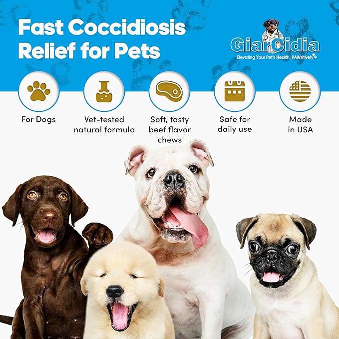 Giarcidia Allergy Relief & Immune Support Chews for Dogs – 90 Soft Chews, Chicken Flavor – Seasonal Itch, Skin, Paw Licking, Hot Spots – Dog Allergy Supplement