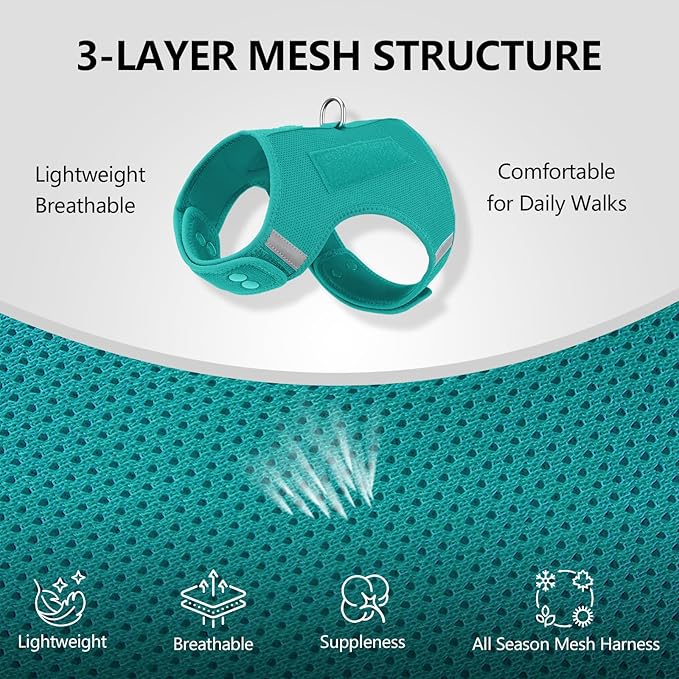 Dog Harness for Puppy – Adjustable Reflective Easy Put On Soft Mesh Vest for Small Dogs with 2 Patches (MARRS Green,L)