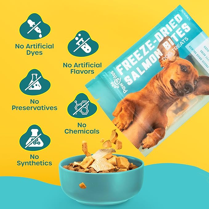 Paw Bites Freeze Dried Dog Treats - Wild Caught Salmon - Dog Food Dry Snacks - with Protein & Omega 3s - for All Breeds & Sizes - No Artificial Flavors & Dyes, No Preservatives - 1 Pouch, 4 oz