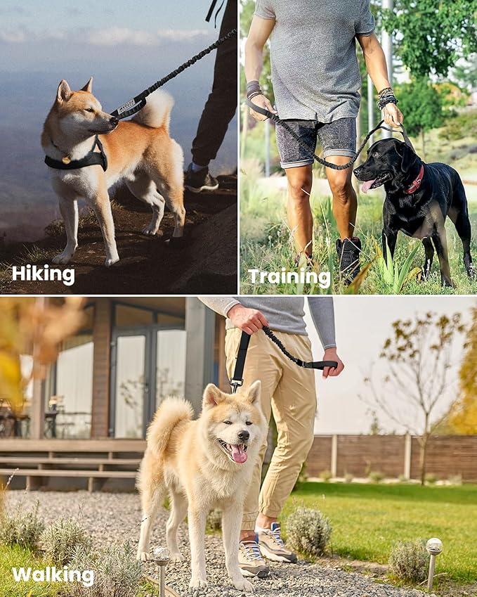 OutdoorMaster Bungee Dog Leash with Shock Absorption, 2 Padded Handles Training Leash, Improved Dog Safety and Comfort - Black Upgraded, 4 FT