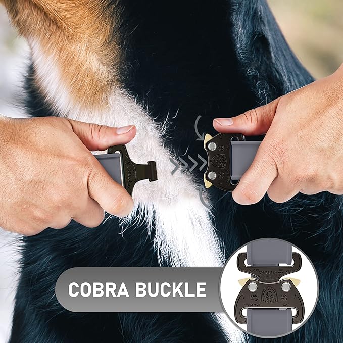 Biothane Dog Collar with Cobra Buckle - USA Made - QR Code Dog Tag - Adjustable Heavy Duty Collar for Medium to Large Dogs - Waterproof Military Grade Tactical