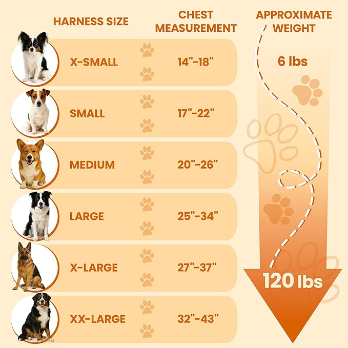 Bark Appeal Tan Plaid No-Pull Dog Harness for Extra Large Sized Pets – Adjustable, Reflective Vest with 3 Leash Clips for Added Control, Easy Walks & Training – XXL