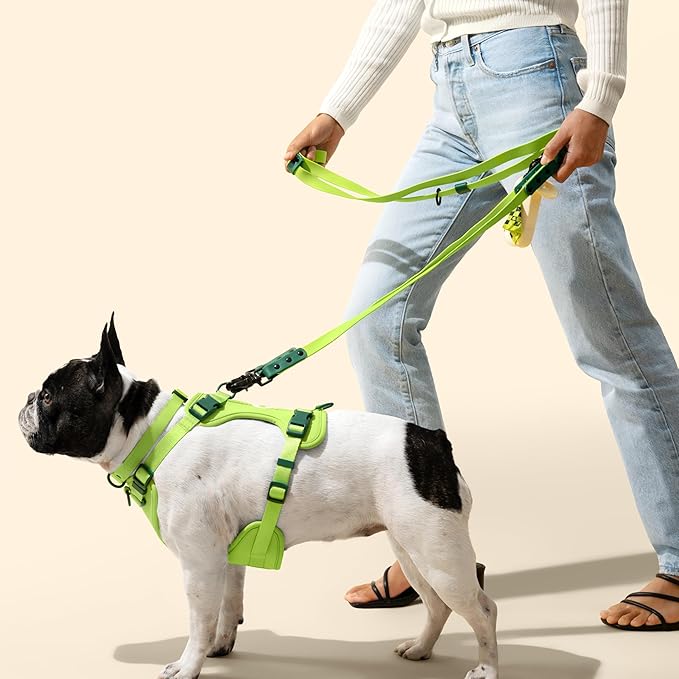 HNS1001B Arlo Small Adjustable Soft Padded No Pull Pet Harness with 3 Buckles and 3 Leash Clips, Mojito