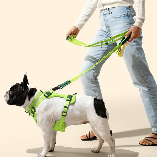 HNS1003B Arlo Large Adjustable Soft Padded No Pull Pet Harness with 3 Buckles and 3 Leash Clips, Mojito
