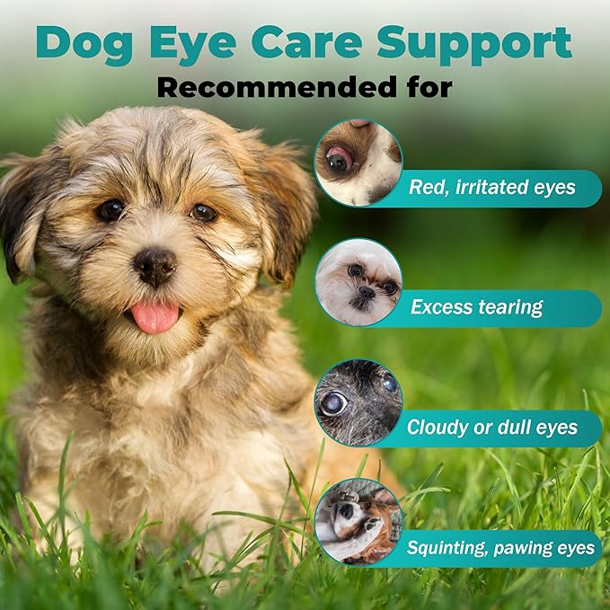Dog Eye Infection & Eye Care Support Supplements | All-Natural Support for Conjunctivitis, Swelling, Dry Eyes, Tear Stains & Discharge | with L-Lysine, Omega-3 & Lutein + Zeaxanthin | 2.03 fl oz