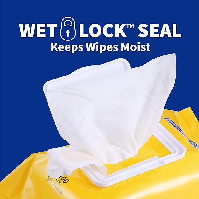 Wet Ones for Pets Desmellizing Multi-Purpose Dog Wipes with Baking Soda Dog Desmellizing Wipes for All Dogs in Tropical Splash Scent, Wet Ones Wipes for Desmellizing Dogs (Pack of 1,100 Count Total)