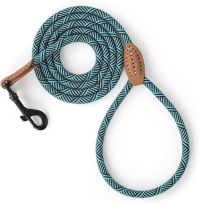 Mile High Life Small Dog Leash, Thin Rope Leash with Genuine Leather Connection and Heavy Duty Metal Clasp, Great for Small Medium Dogs(Green,48 Inch-1/3)