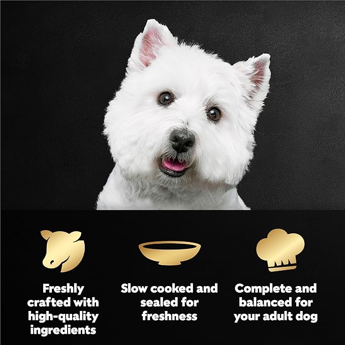 Cesar Filets in Gravy Wet Dog Food, Filet Mignon Flavor, 1.76 oz. Mini-Pouches, 20 Count (Pack of 1)