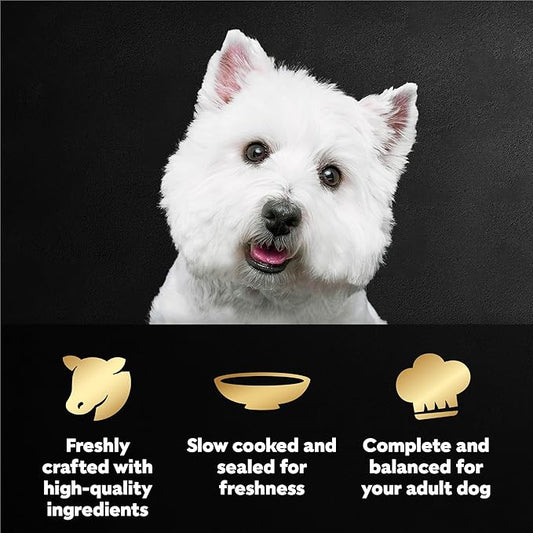 Cesar Filets in Gravy Wet Dog Food, Filet Mignon Flavor, 1.76 oz. Mini-Pouches, 20 Count (Pack of 1)