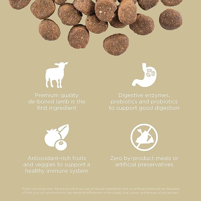Go! Solutions Carnivore, Grain-Free, Protein Rich Dry Dog Food, Lamb and Wild Boar Recipe, 22 lb Bag