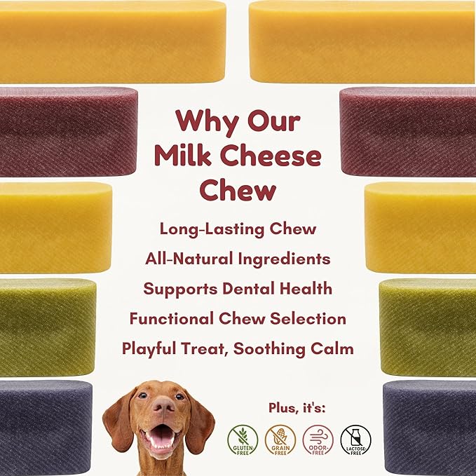 Majestic Pet Himalayan All-Natural Yak Cheese Dog Chews Made with 100% Cows Milk- Long Lasting Dental Chew for Dogs - Healthy Pet Treats with Beneficial Ingredients (Variety Pack, Regular, 5 Pack)