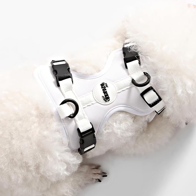 HNS1000F Arlo Extra Small Adjustable Soft Padded No Pull Pet Harness with 3 Buckles and 3 Leash Clips, Seltzer