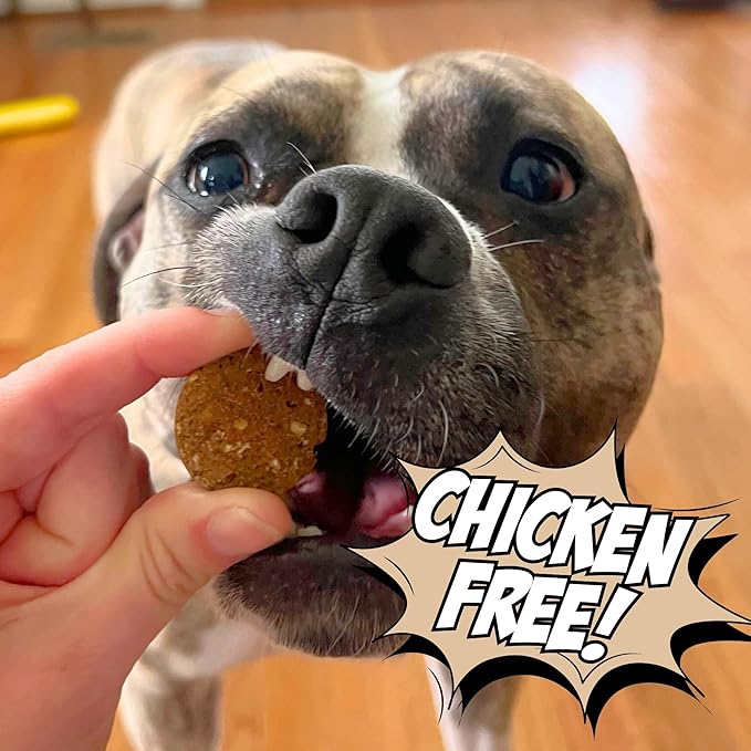 Chippin Peanut Butter Christmas Dog Treats, Chicken-Free – Sensitive-Stomach & Allergy-Friendly, Natural Healthy Puppy Training Treats, Pumpkin, Sustainable Cricket Protein, All Dog Sizes
