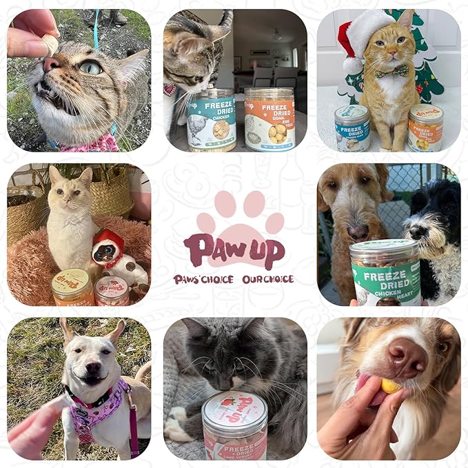 PAWUP Freeze Dried Dog Treats, Goat Milk Yogurt Flavor with Strawberry,Gentle Goat Milk Snacks for Sensitive Stomachs Puppies, 2.8 oz
