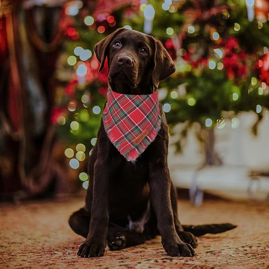 ADOGGYGO Christmas Dog Bandanas with Tassels Edges, Stylish Plaid Dog Christmas Scarf Bib, Multiple Sizes Offered, Plaid Bandanas for Medium Large Dogs (Large)