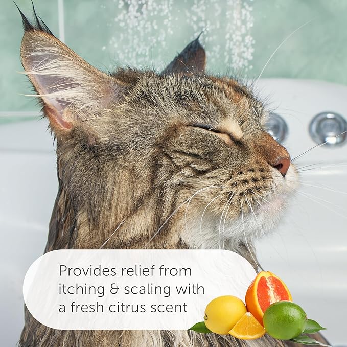 SolaceVet Benzoyl Peroxide Medical Shampoo 12 oz – Vet Recommended Degreasing & Anti-Itch Wash for Dogs & Cats