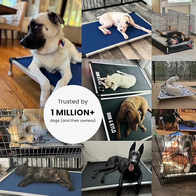 K9 Ballistics Chew Proof Elevated Outdoor Cooling Cot Bed for Large Dogs - Virtually Indestructible, Preassembled, Withstands Aggressive Chewers - L, Ripstop Blue Quartz