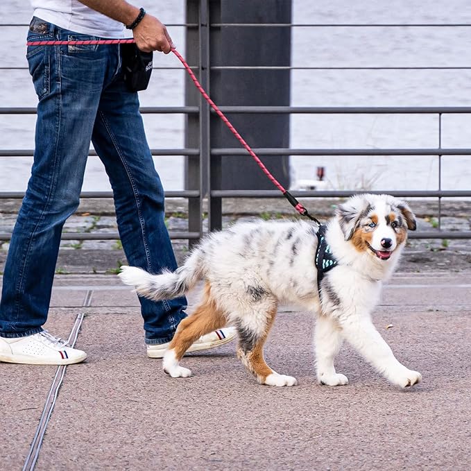 5/6 FT Strong Pet Dog Leash with Soft Padded Handle,Highly Reflective Rope for Night Walking,360-Degree Rotating Metal Buckle Without Tangles,Suitable for Small,Medium and Large Dogs.(6ft)