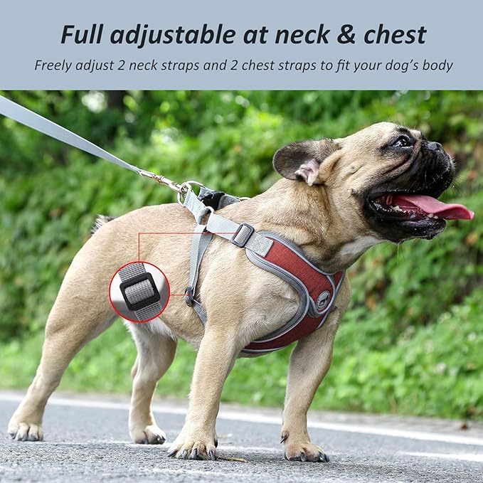 Dog Harness with Leash Set, Christmas Red Adjustable Step in Collars Harness with Breathable Padded Vest for Small Medium Large Dogs Training and Running(L, Red)