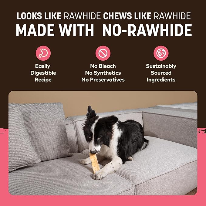 Earth Animal No Hide Strips - Natural Rawhide Free Dog Chew Strips, Salmon - 16 Count