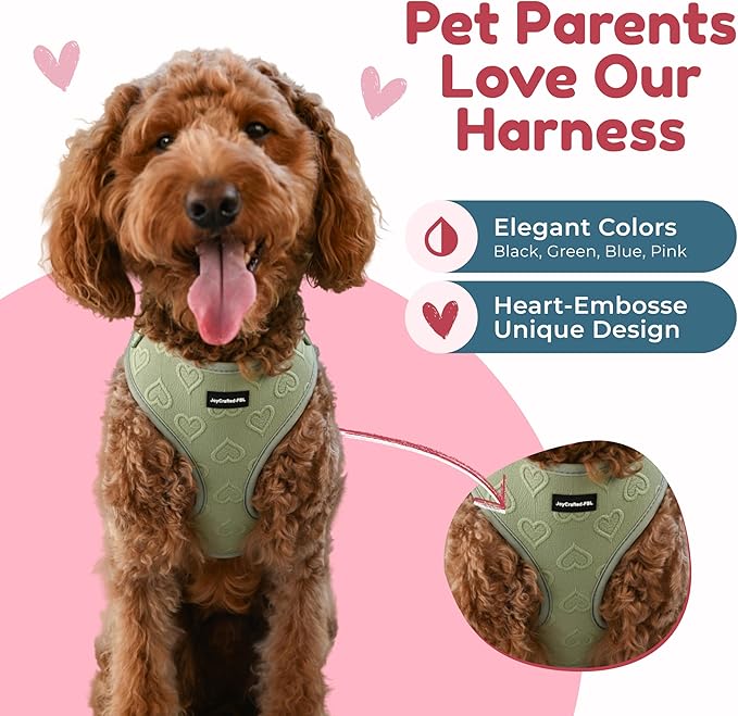 No Pull Puppy Harness and Leash Set – No Choke Neoprene Dog Harness for Extra Small Dogs (3–8 lbs) – Green(XXS), Lightweight Breathable Mesh with Unique Heart Pattern, Adjustable Fit