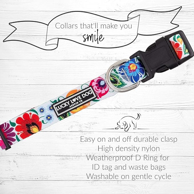 Lucky Love Dog Martingale Dog Collar & Leash - Adjustable, No-Slip, Durable, Comfortable, Soft Webbing, & Stylish Patterned Collar & Leash Set for Male and Female Dogs - Ladybird Combo, Medium