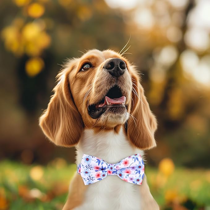 azuza Dog Collar with Bow Tie, Soft and Comfortable Adjustable Bowtie Dog Collar for Small Dogs (S, Gerbera)