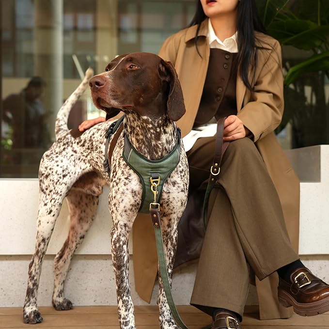 No Pull Dog Harness Medium Sized Dog,Stylish PU Leather Vest with Easy Control Handle,No Choke Front Clip with 2 Metal Leash Clips,Reflective & Adjustable for Walking,Green,Chest 27-33"