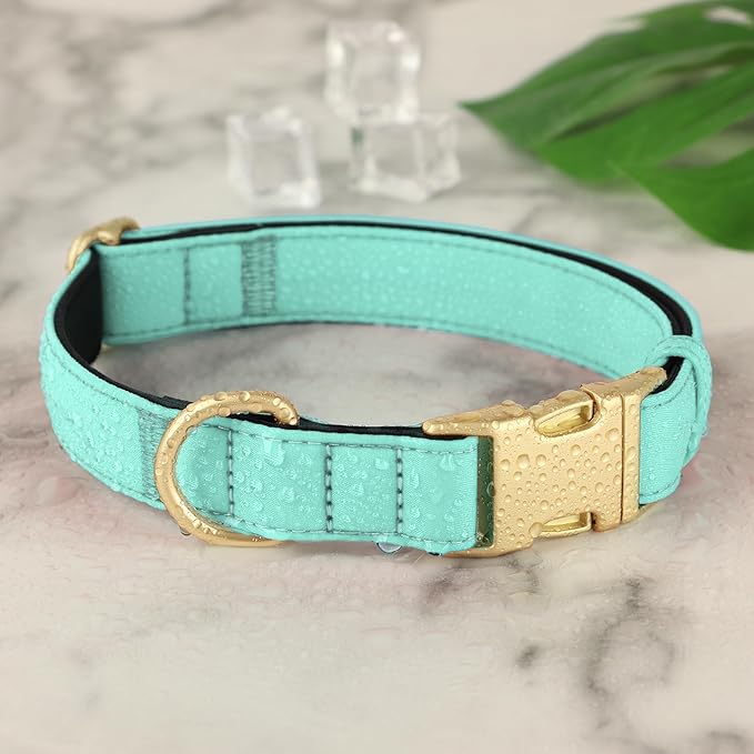 Didog Soft Padded Dog Collars for Small Dogs, Colorful and Durable Dog Collar with Quick Release Buckle, Light and Breathable for Daily Walking, Teal, S