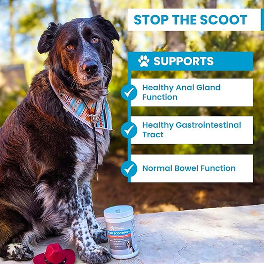 PawMedica Dog Anal Gland Chews to Stop Scoot for Dogs - Anal Gland Dog Constipation Relief - Recommended Dog AnalGland Support Chews Fiber - Fiber Supplement for Dogs (60 Dog Pumpkin Chews)