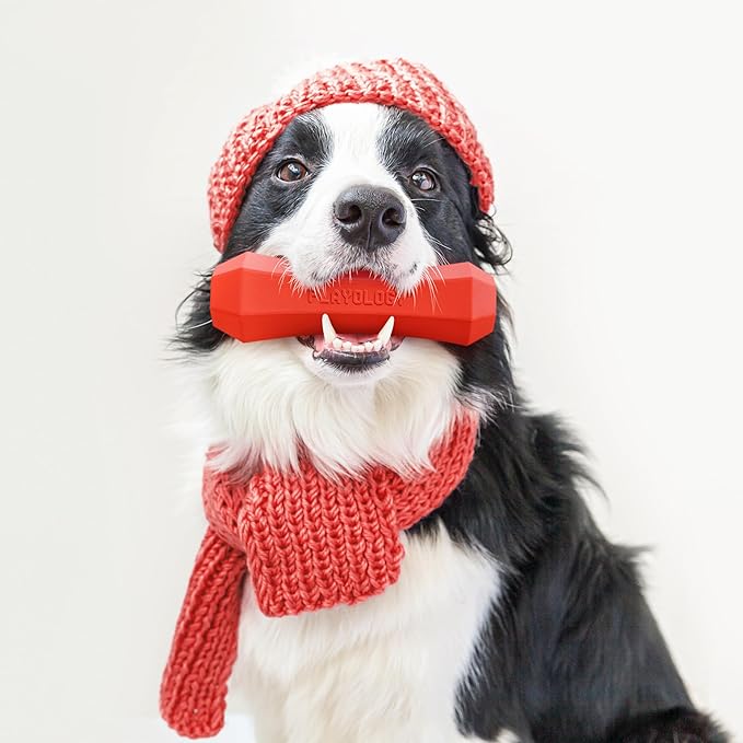 Playology Dog Toys | Durable Squeaky Chew Stick for Dogs | Medium Grandma's Gravy Scented Toy - Easy to Clean and Made from Non Toxic Materials