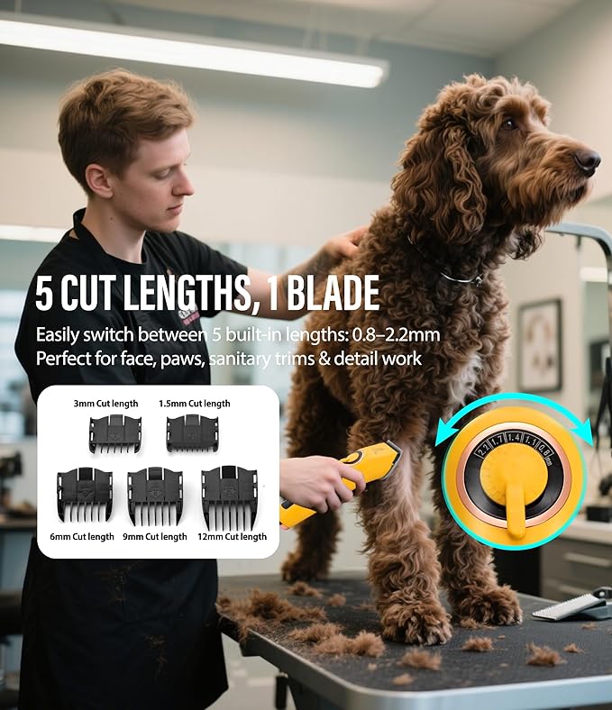 Professional Dog Grooming Clippers with 12H Runtime & Replaceable 440C Blade, 3-Speed Low Noise Electric Dog Shaver for Thick, Matted, Curly Hair, Cordless Clipper for Groomer & Home Use, Blue