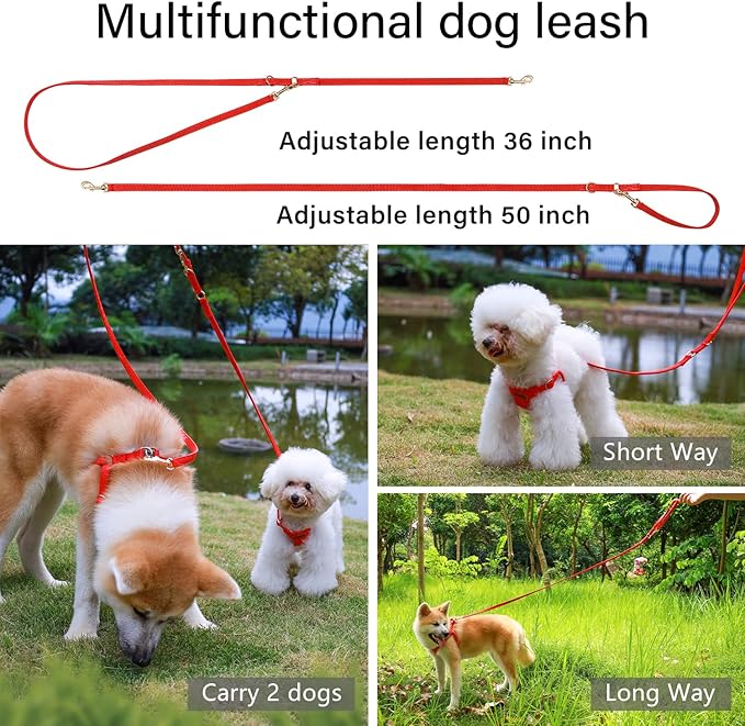CHEDE No Pull Puppy Harness and Multifunction Dog Leash Set- 8 Colors Soft Adjustable No Choke Escape Proof Cute,Lightweight Pet Vest Harness for Small and Medium Dog (XS, Red)